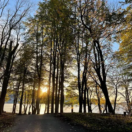 Апартаменти Corner With Balcony In Берген